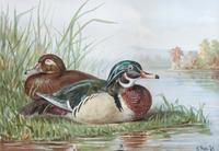 Alexander Pope Jr., (American, 1849-1924), chromolithograph Upland Game Birds and Waterfowl of the United States portfolio of 22 prints