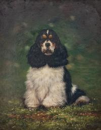 Portrait of a Tri-Color Spaniel and Portrait of a Red Setter