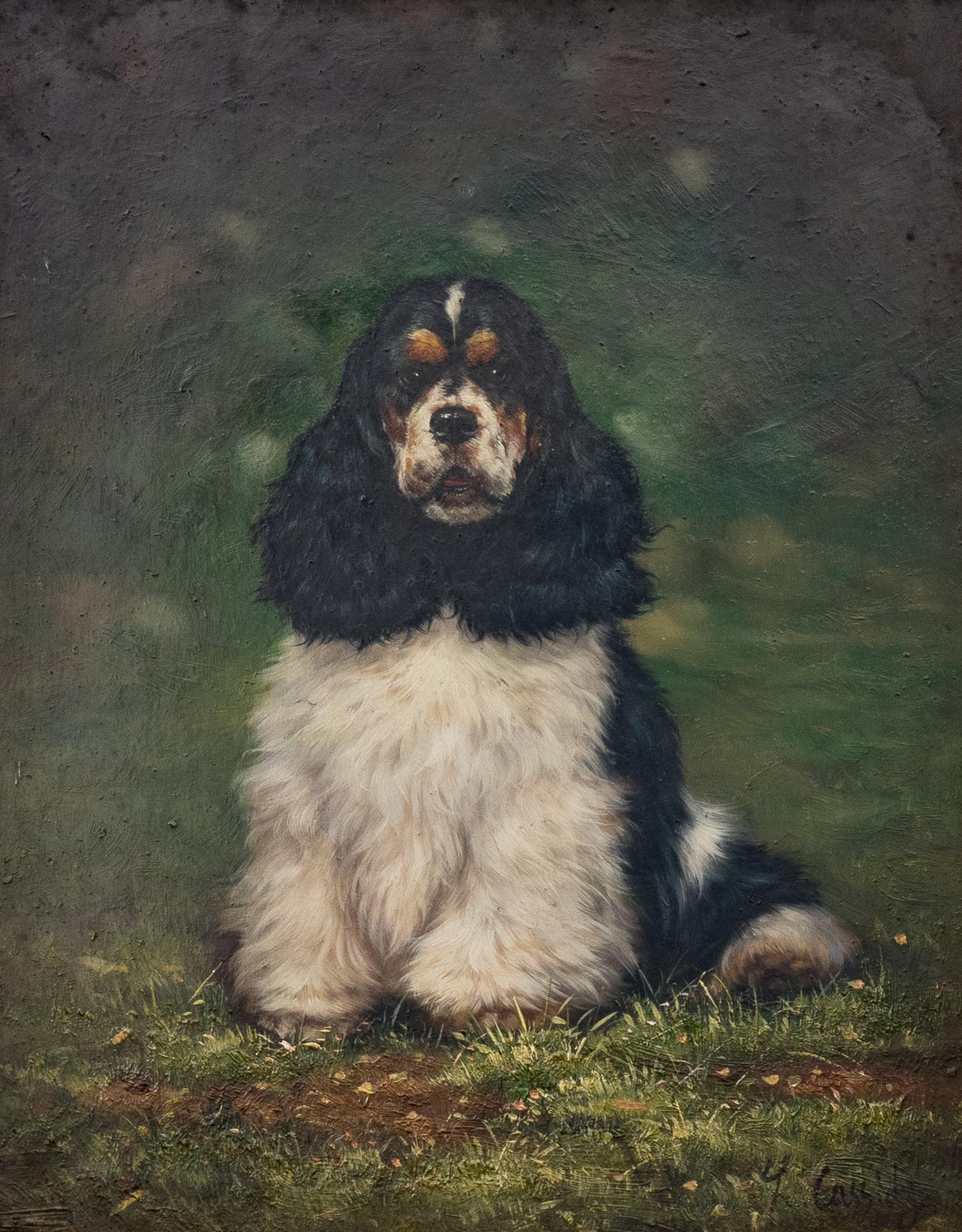 Portrait of a Tri-Color Spaniel and Portrait of a Red Setter