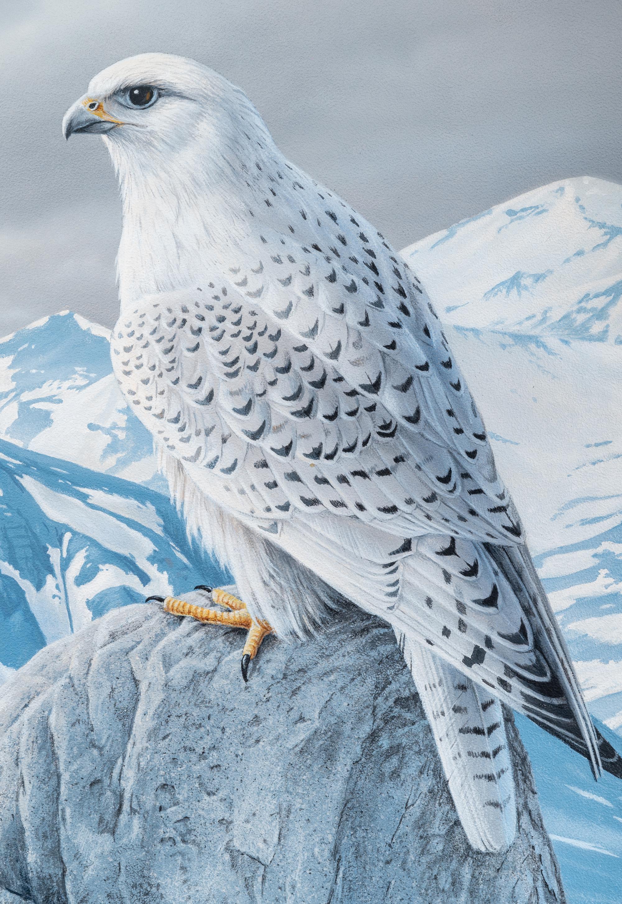 Arctic Sentry- White Gyrfalcon