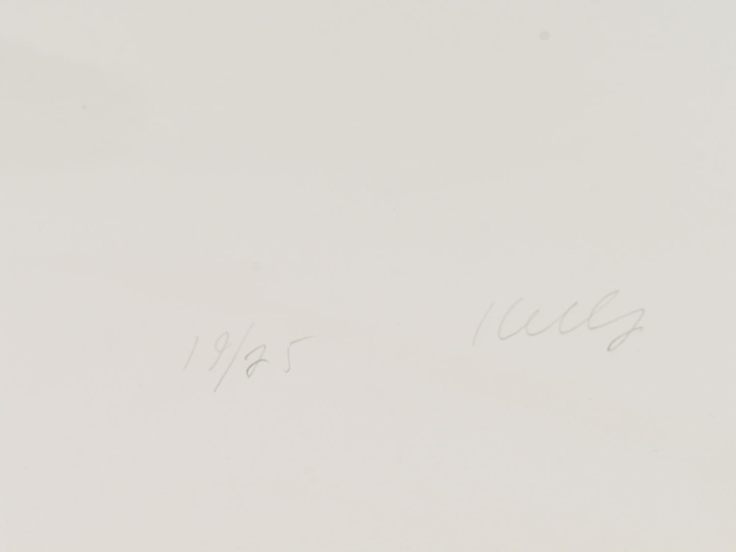 Green Curve , 1988