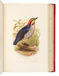 [NATURAL HISTORY]. JONES, Thomas Rymer (1810-1880). Cassell’s Book of Birds. London: Cassell, Petter, and Galpin, [ca 1870].