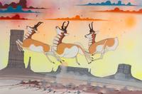 untitled, Prancing Pronghorn