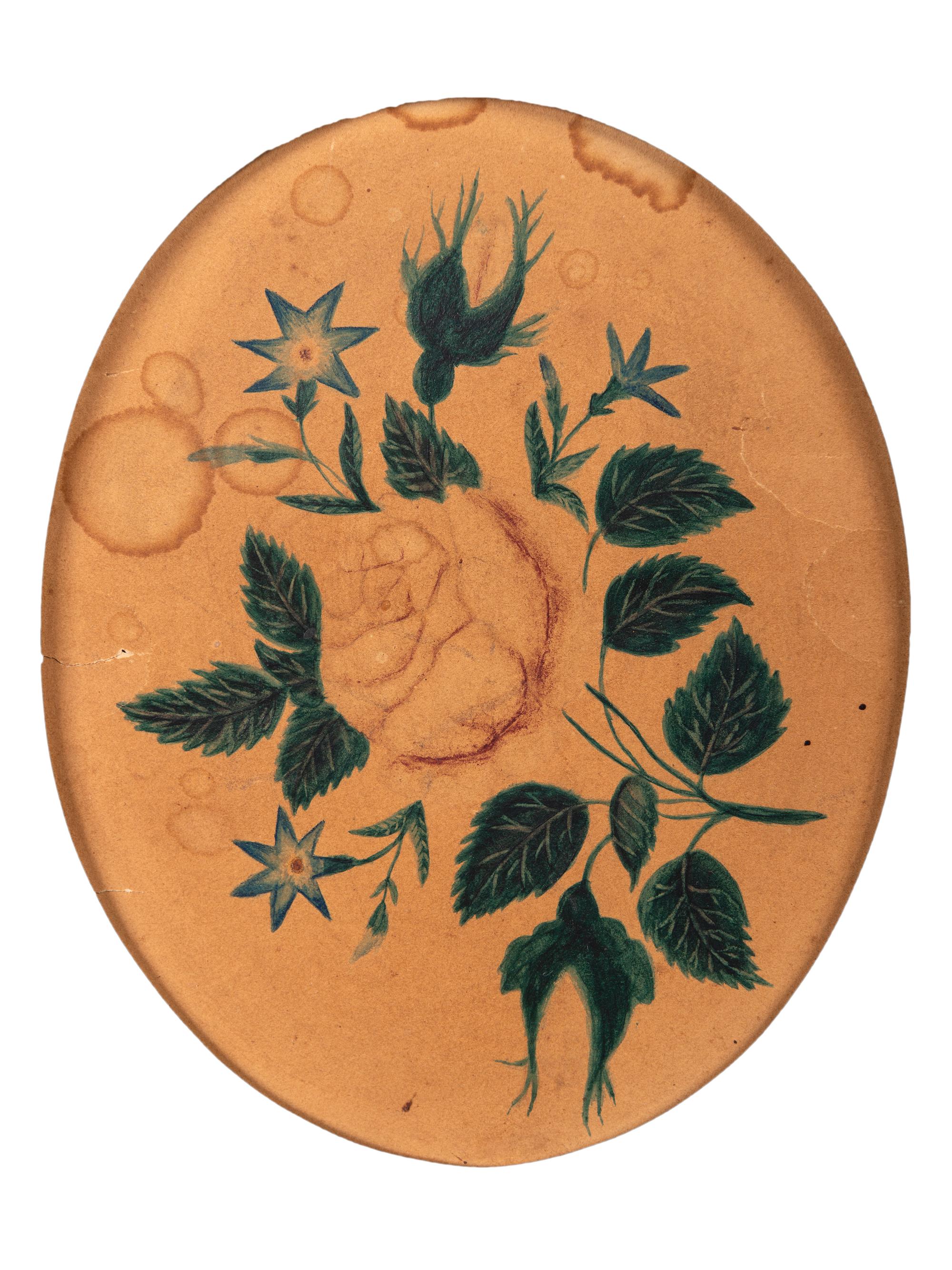 A Watercolor Theorem on Paper within Rockingham Glazed Frame