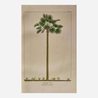 [Americana] Michaux, F. Andrew, and Thomas Nuttall The North American Sylva; or, a Description of the Forest Trees of the United States, Canada, and Nova Scotia...