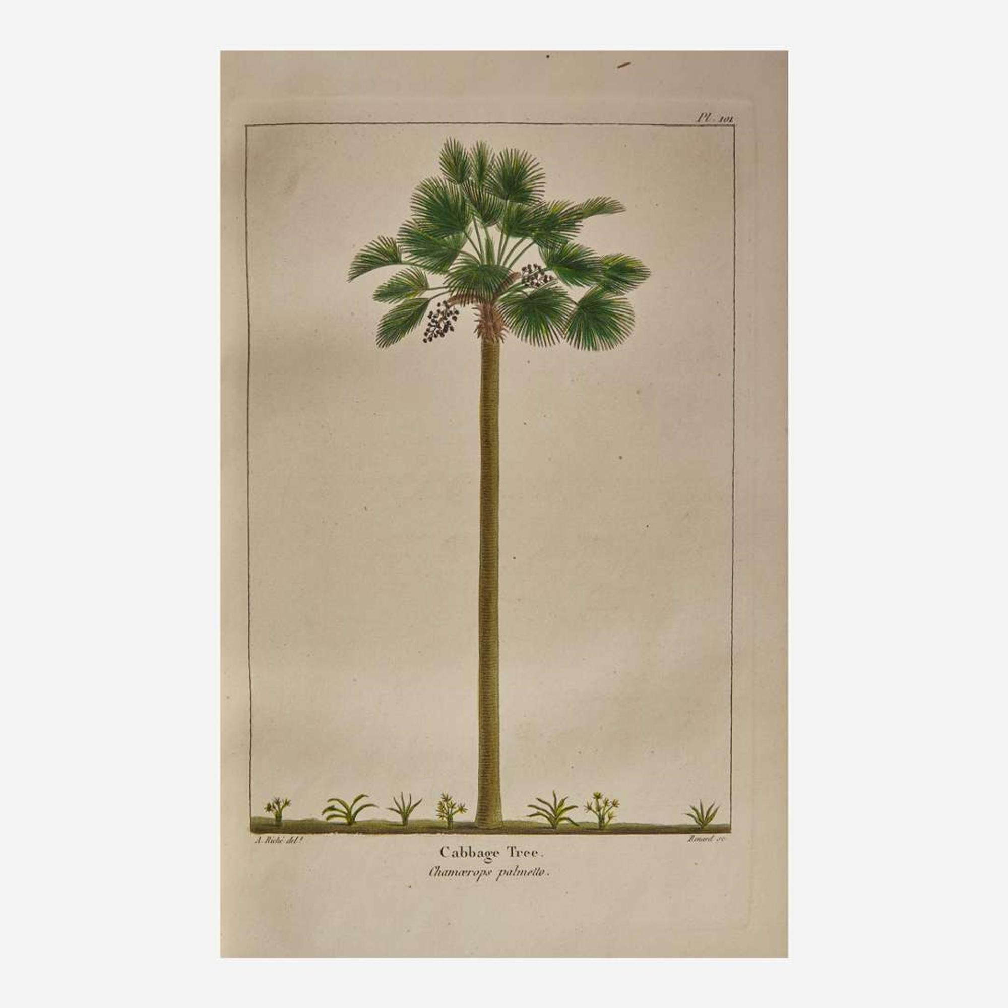 [Americana] Michaux, F. Andrew, and Thomas Nuttall The North American Sylva; or, a Description of the Forest Trees of the United States, Canada, and Nova Scotia...