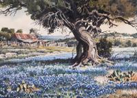 Blue Bonnets of Bosque County