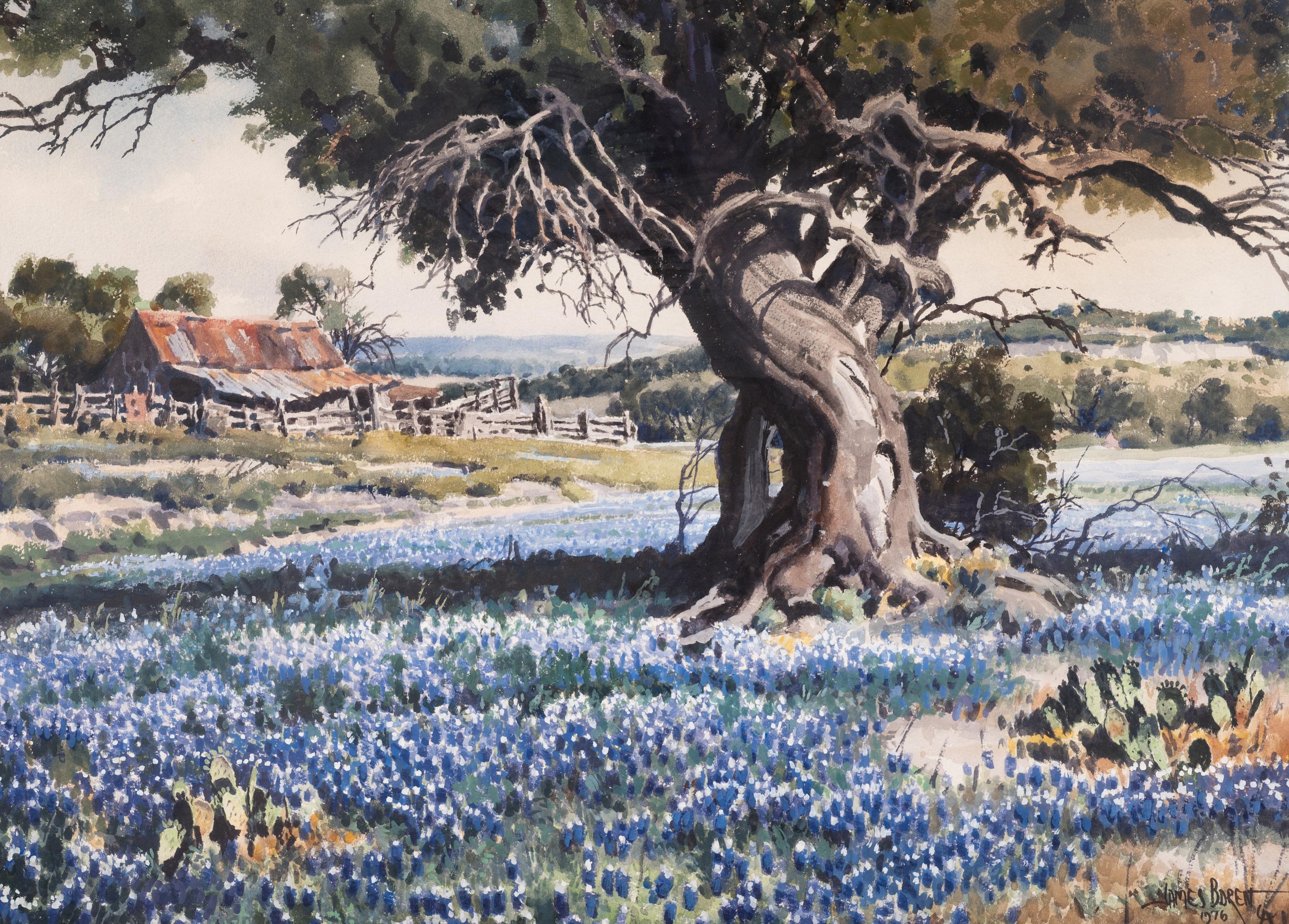 Blue Bonnets of Bosque County