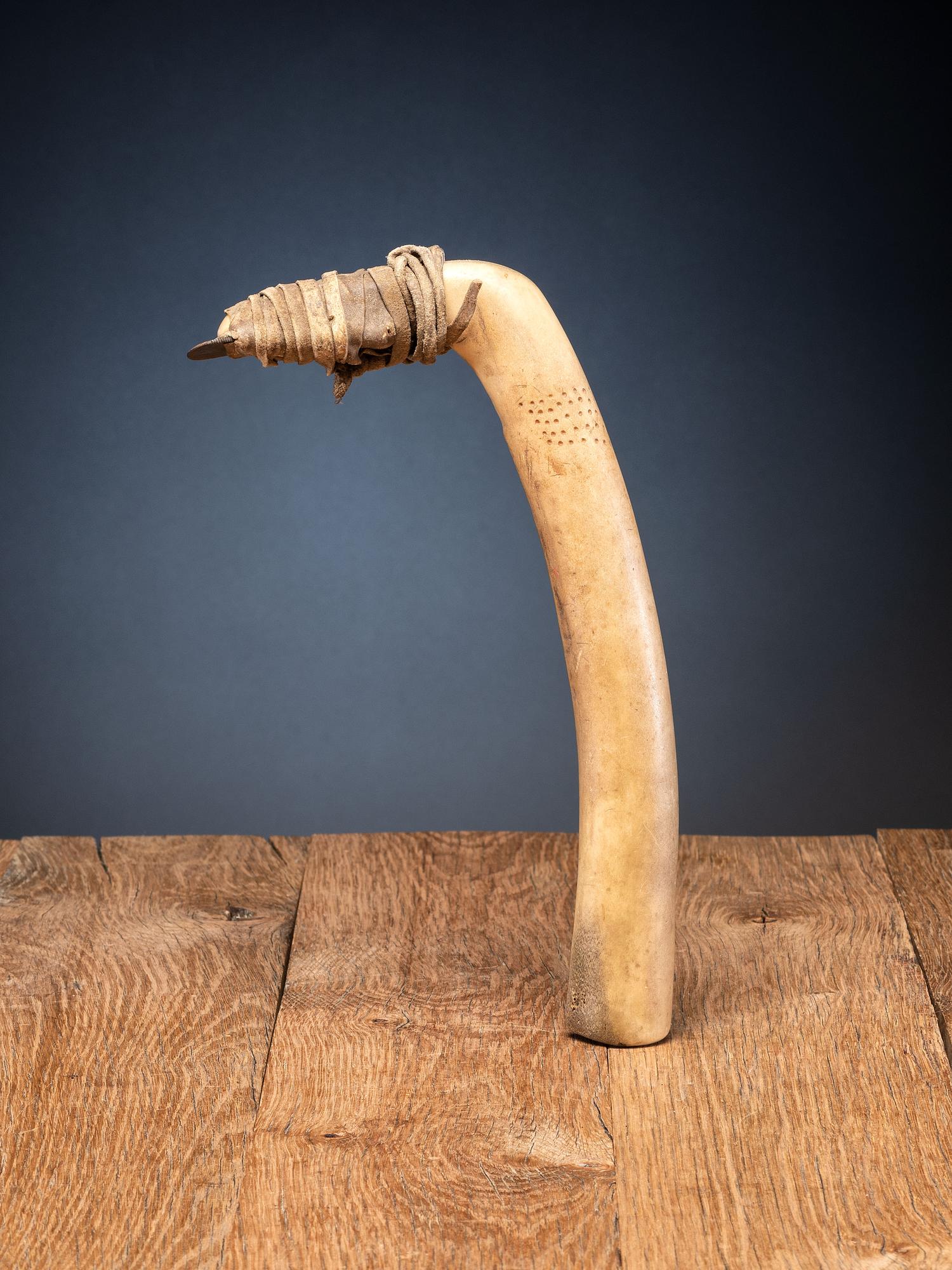Plains Elk Antler Flesher, with Decorations