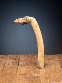 Plains Elk Antler Flesher, with Decorations
