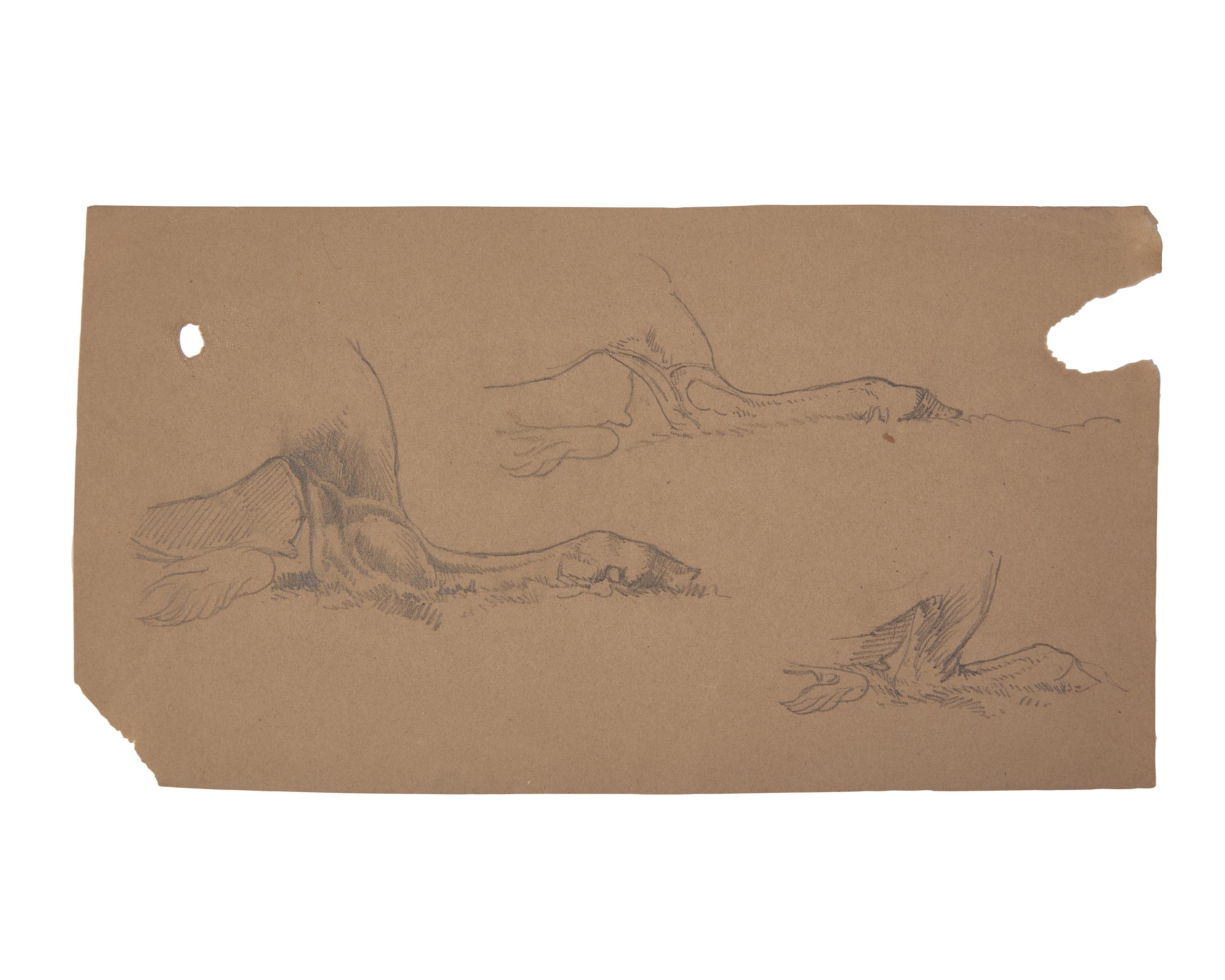Farm Animal Studies: F older of Eighteen (18) Pencil Drawings