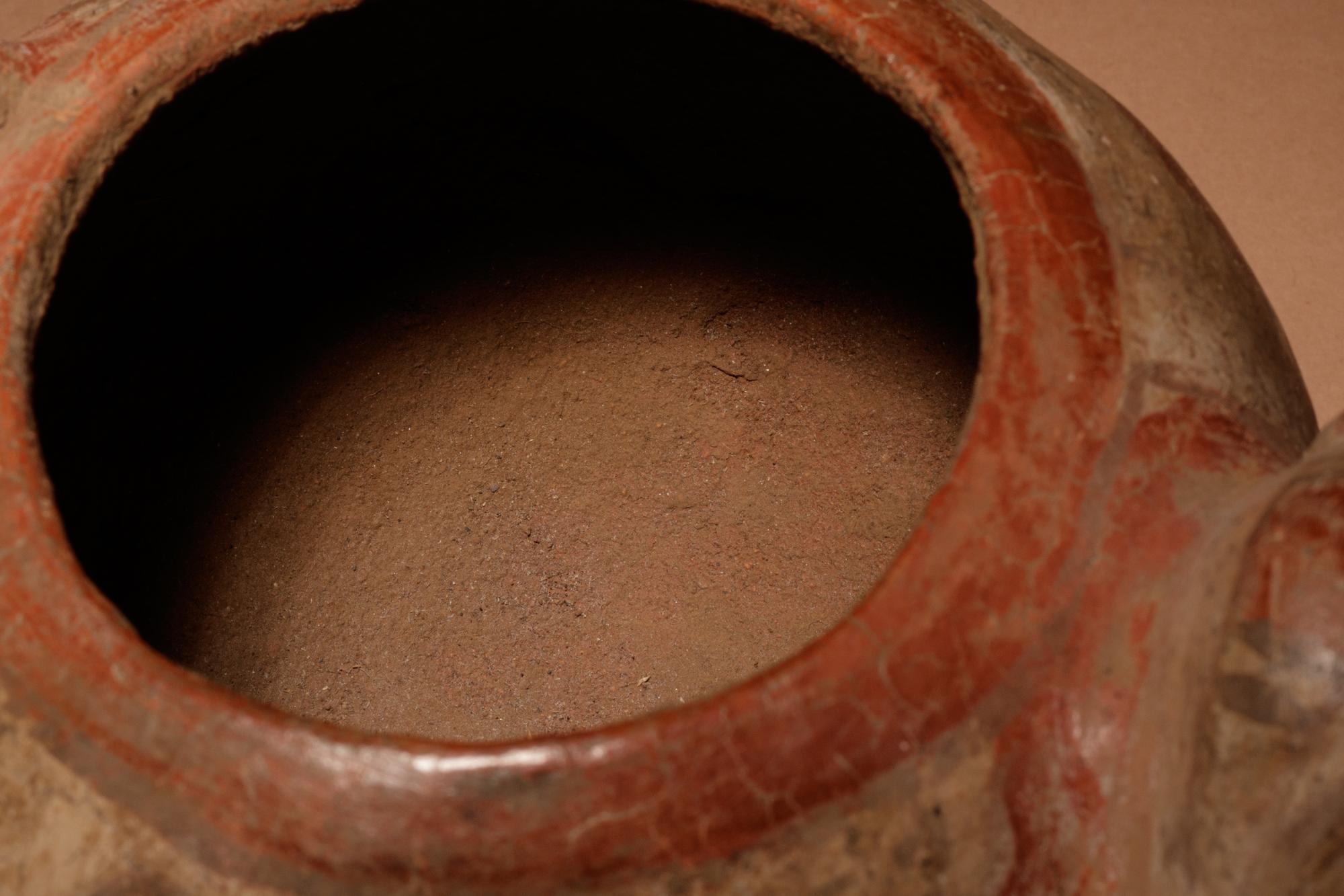 A Nicoya Polychrome Terracotta Animal Effigy Vessel