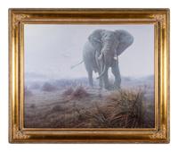 Denizen of the Mist