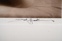 Nude (accompanied by the book David Hamilton: Twenty Five Years of an Artist)