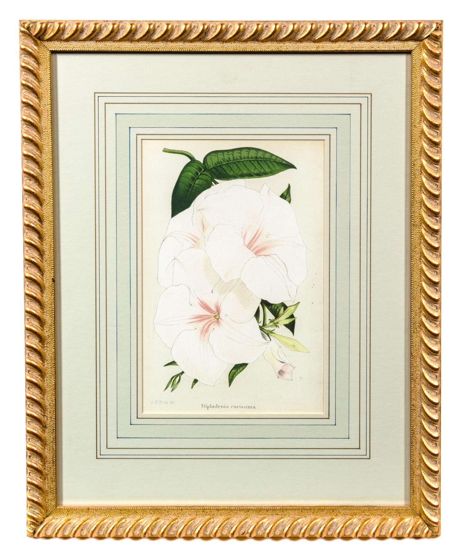Two Floral Prints Each 10 x 6 5/8 inches (visible).
