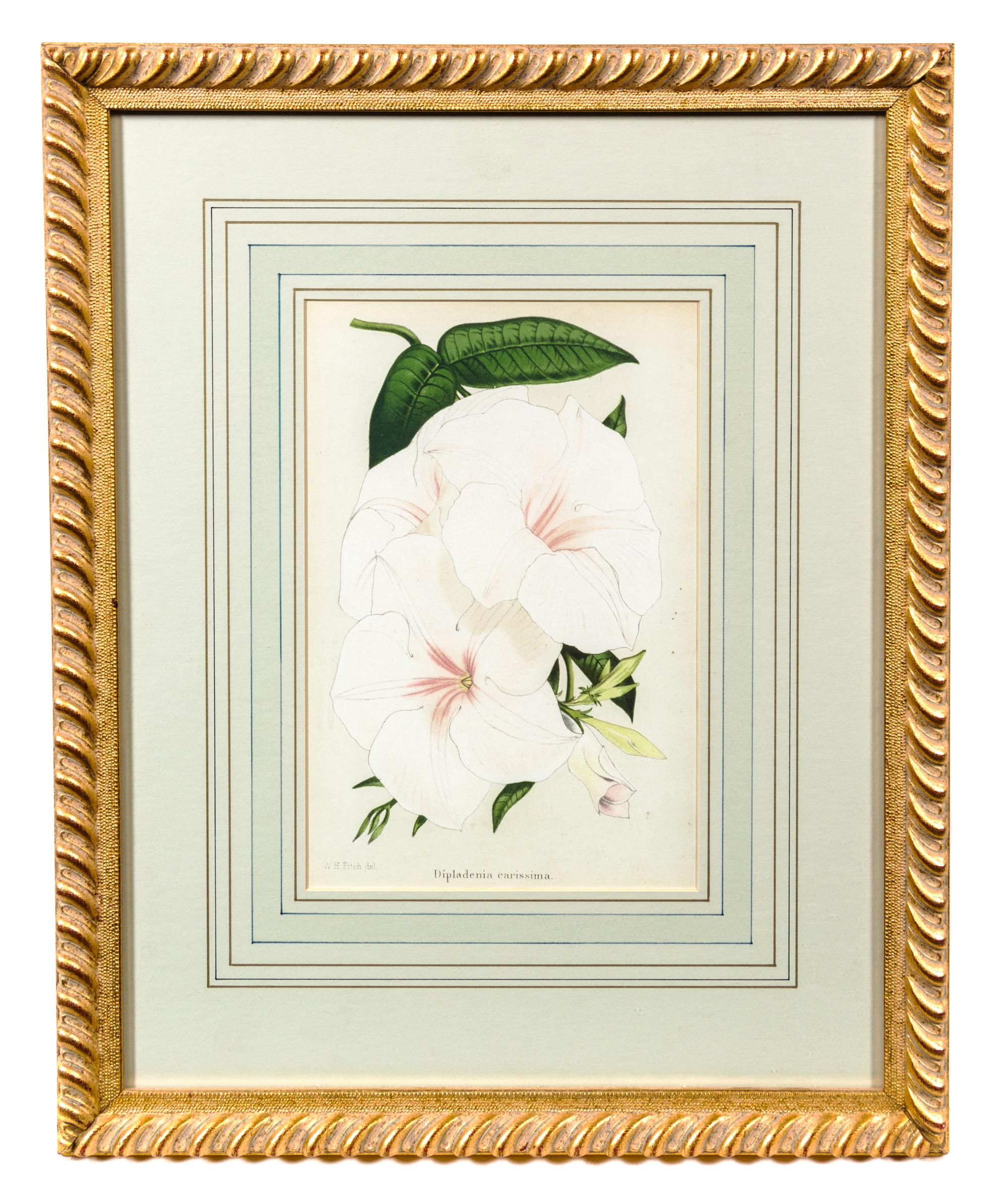 Two Floral Prints Each 10 x 6 5/8 inches (visible).
