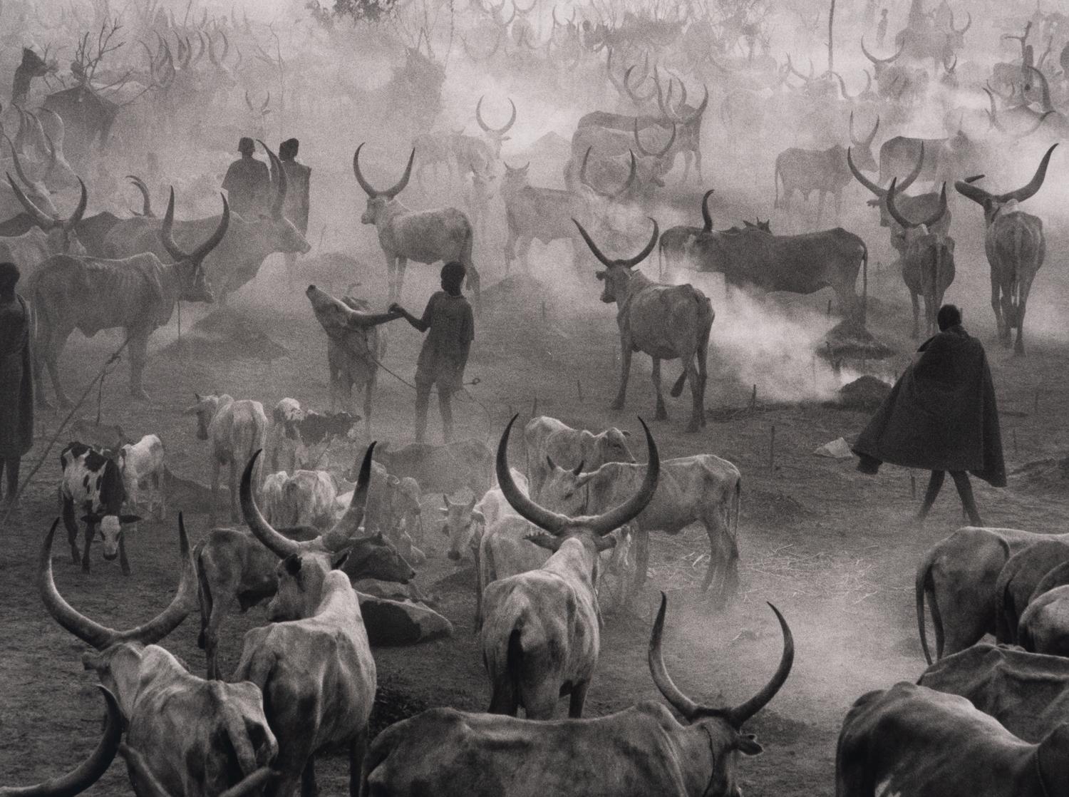 Dinka Cattle Camp of Amak, Southern Sudan, 2006