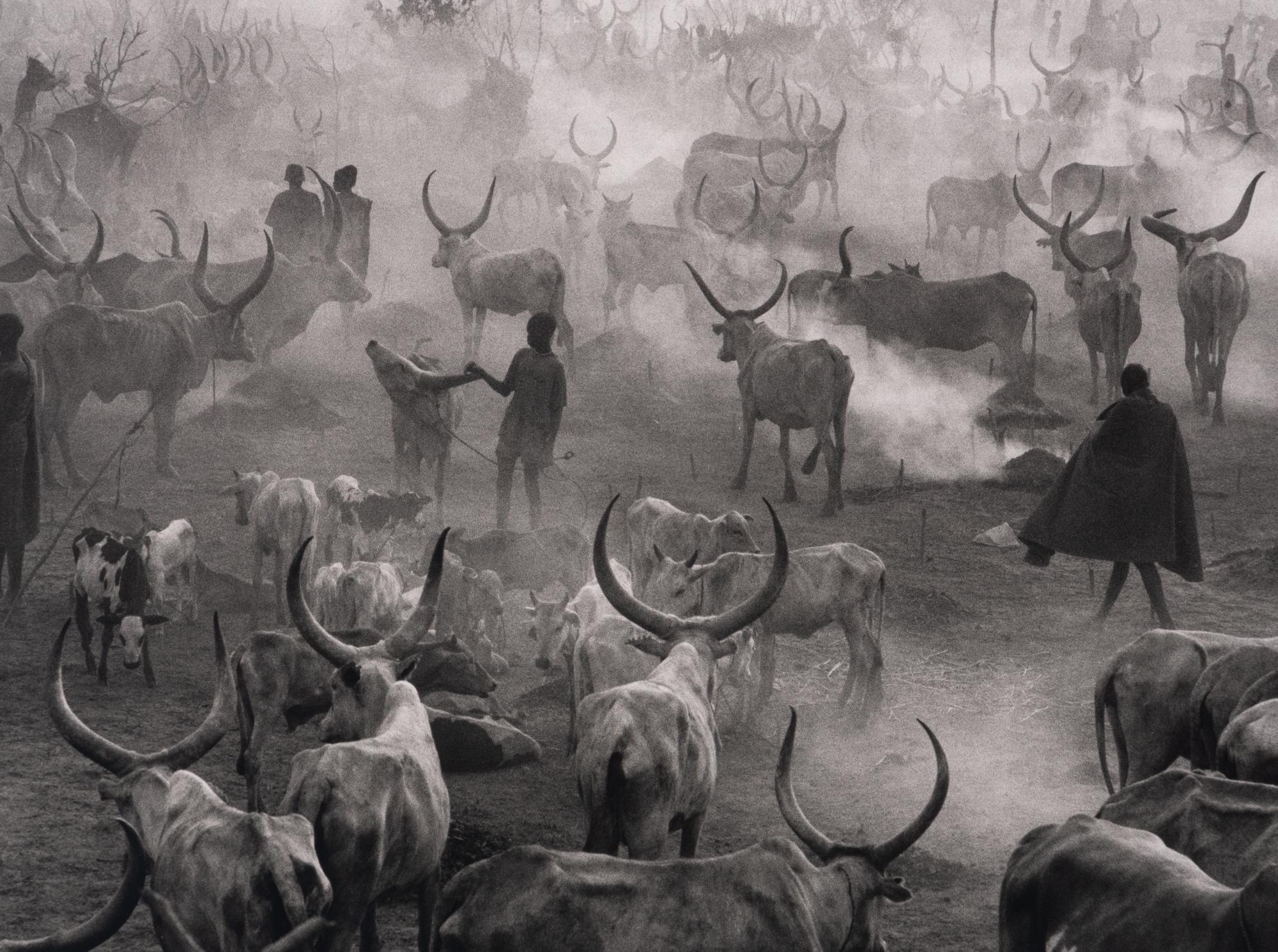 Dinka Cattle Camp of Amak, Southern Sudan, 2006