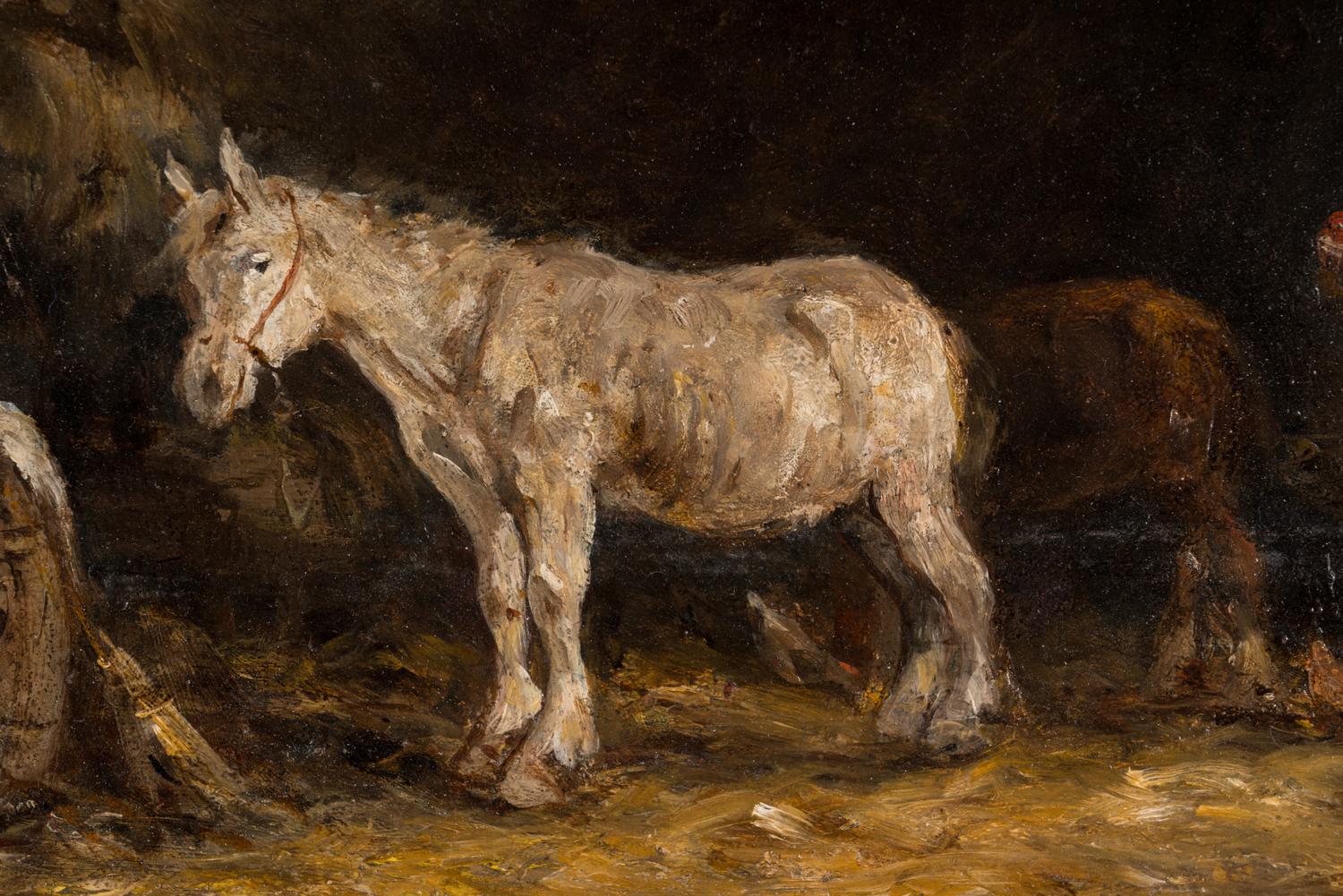 Stable Scene