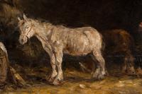 Stable Scene
