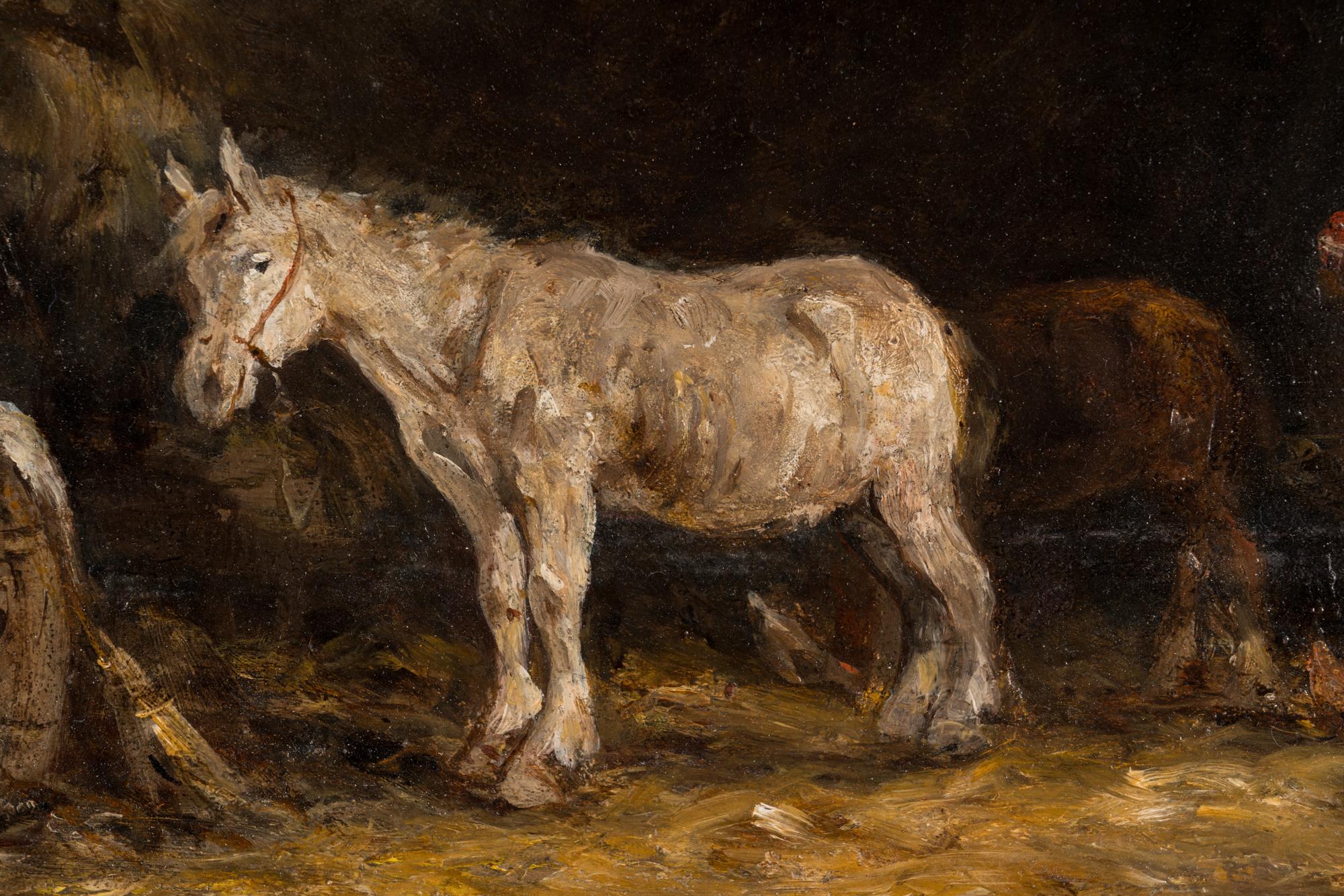 Stable Scene