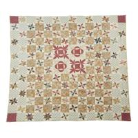 Pieced and appliqued cotton quilt Made by Elizabeth Jane Fryfogle (1823-1909) Montgomery County, PA