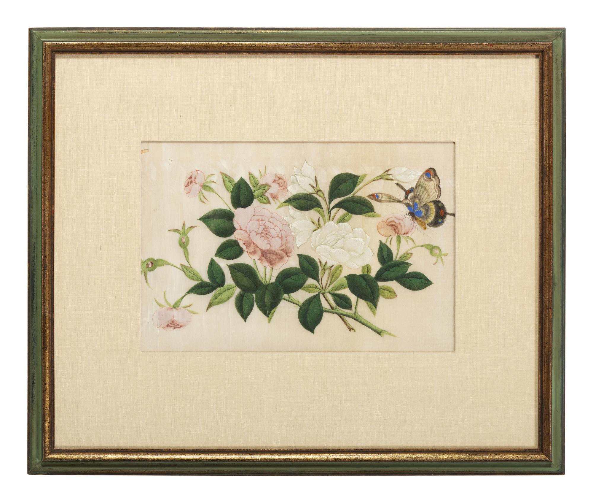 Three Chinese Pith Paintings of Butterflies and Flowers