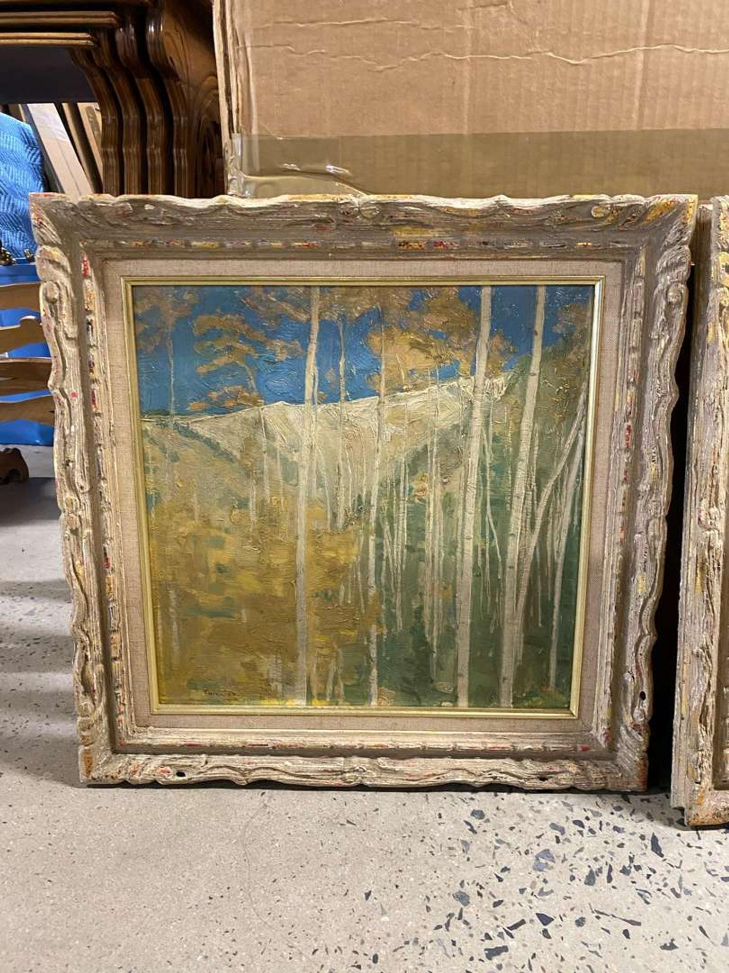 Aspen Trees