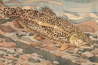 A Pair of Prints (Immature Great Blue Heron , 1978; Brown Trout, 1975)