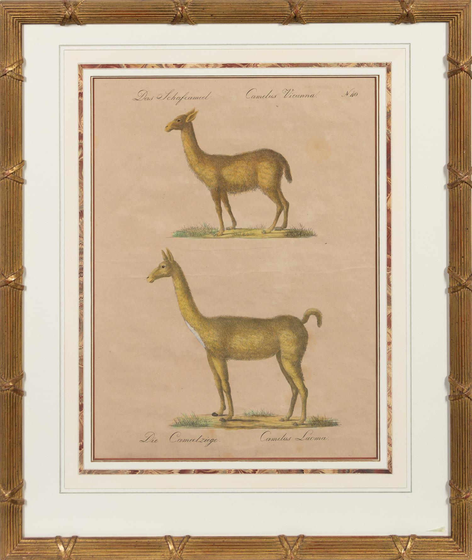 A Set of Eight Animalier Prints 16 3/4 x 13 1/2 inches. — 19TH CENTURY