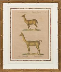 A Set of Eight Animalier Prints 16 3/4 x 13 1/2 inches. — 19TH CENTURY