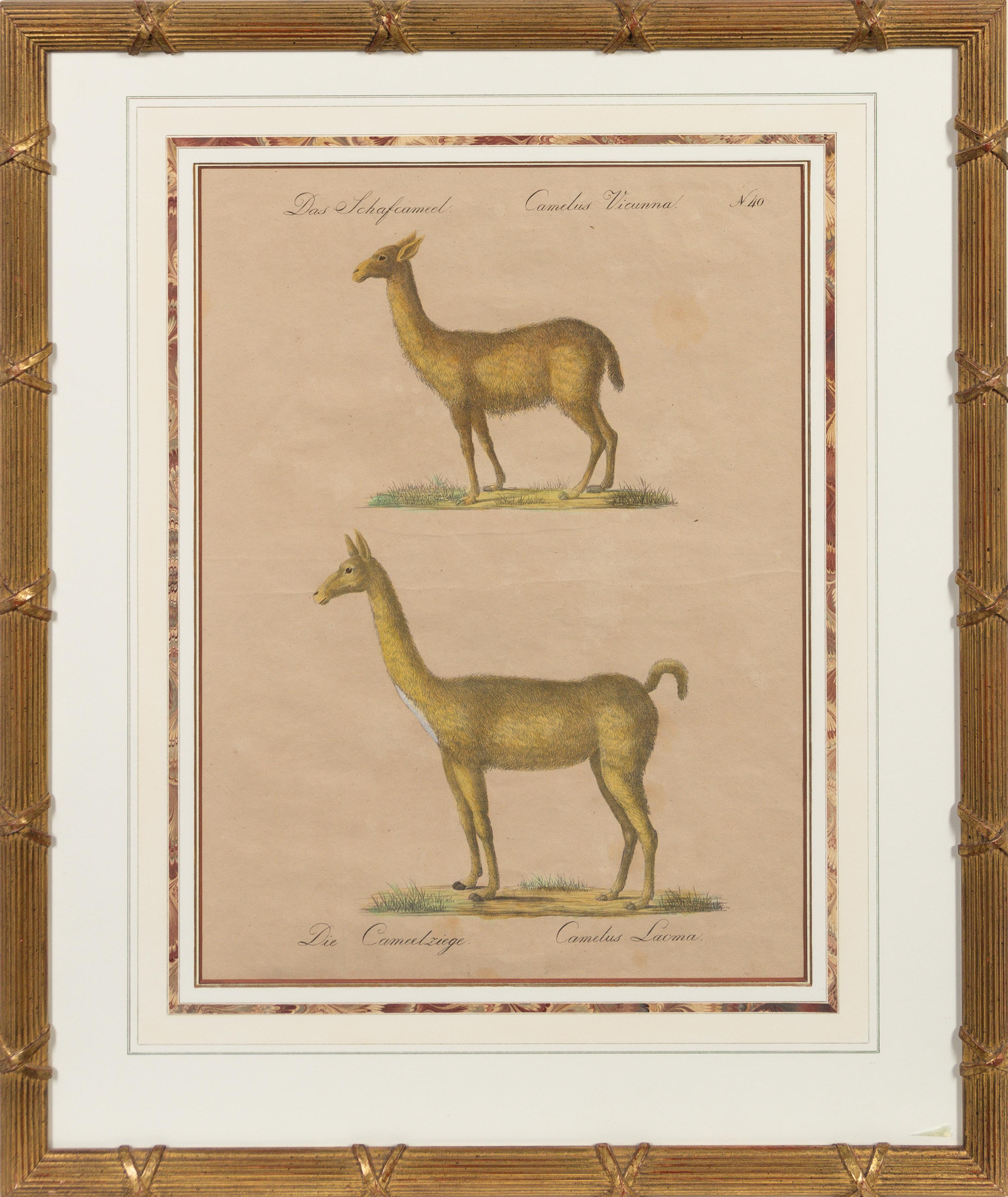 A Set of Eight Animalier Prints 16 3/4 x 13 1/2 inches. — 19TH CENTURY