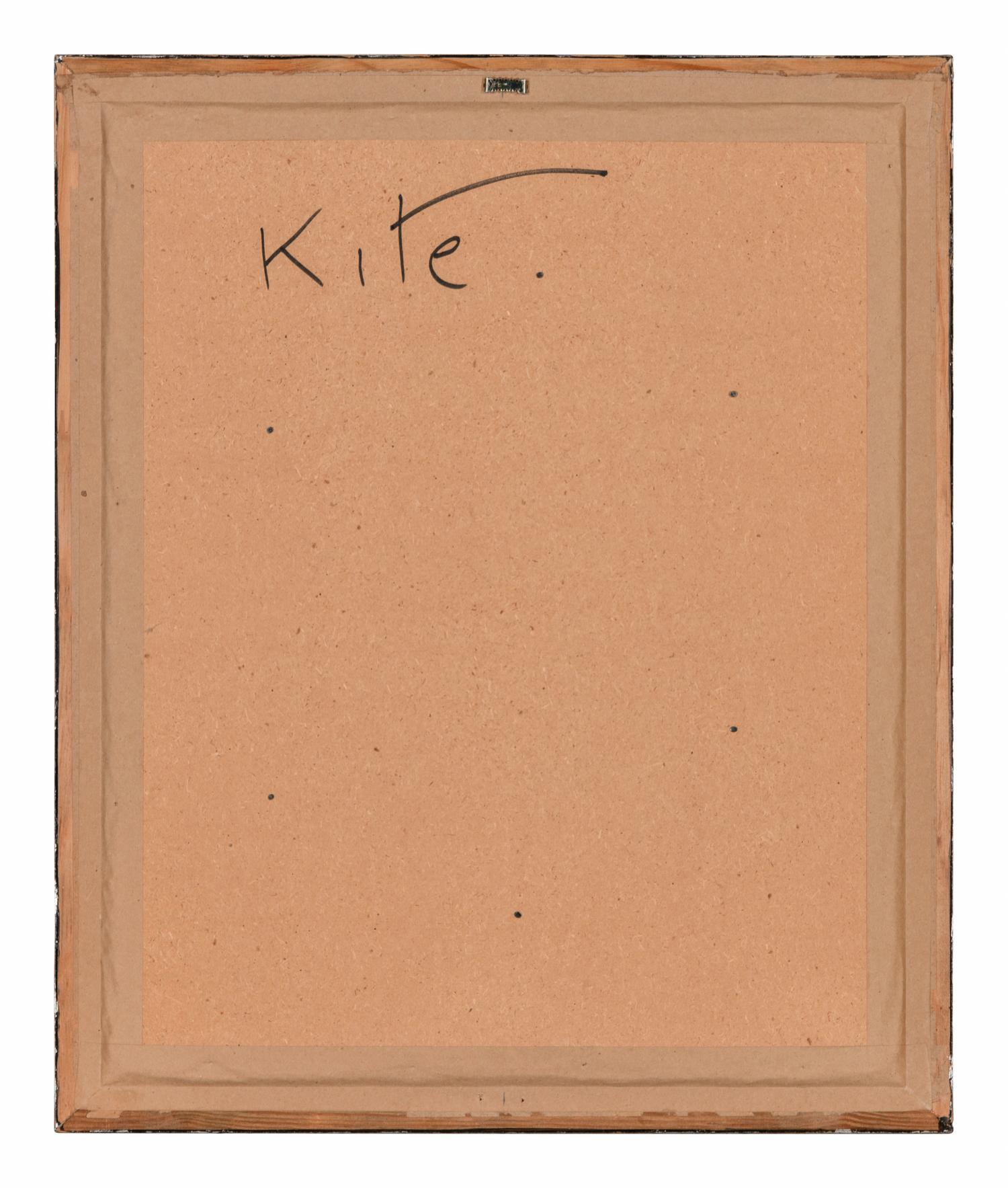 Kite