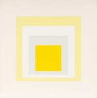 Homage to the Square (a group of nine from the portfolio of ten)