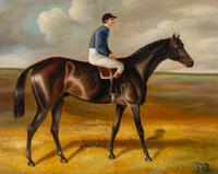 Horse and Jockey, with a Frog