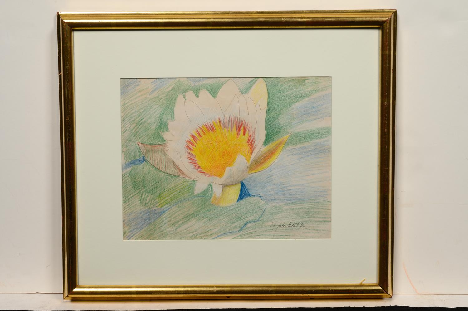 Waterlily