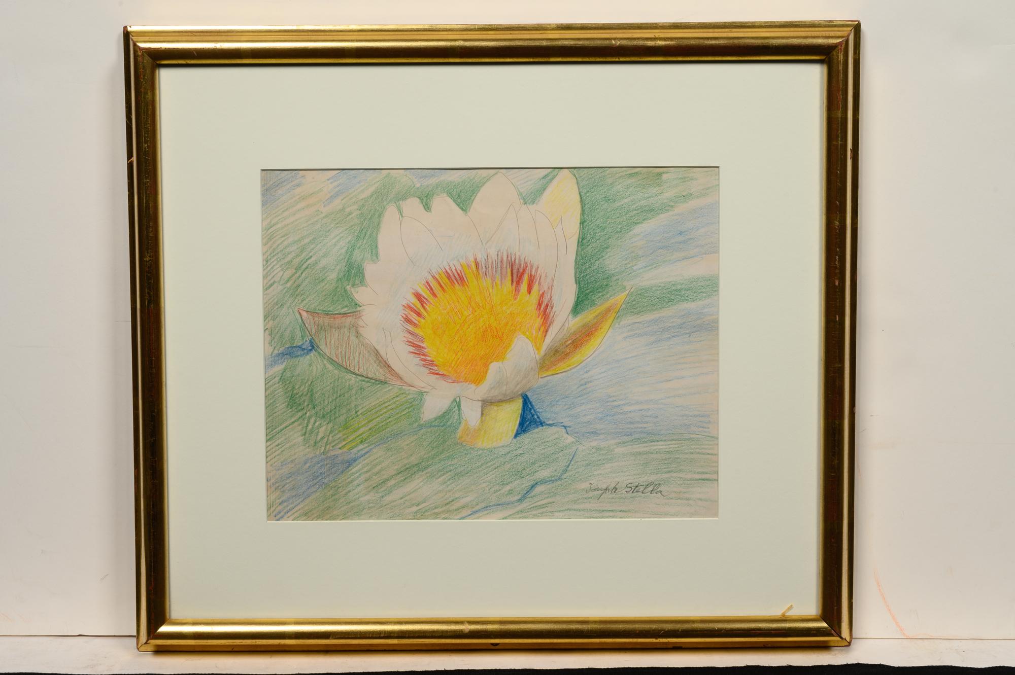 Waterlily