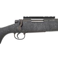 * Remington 700 in .220 Swift
