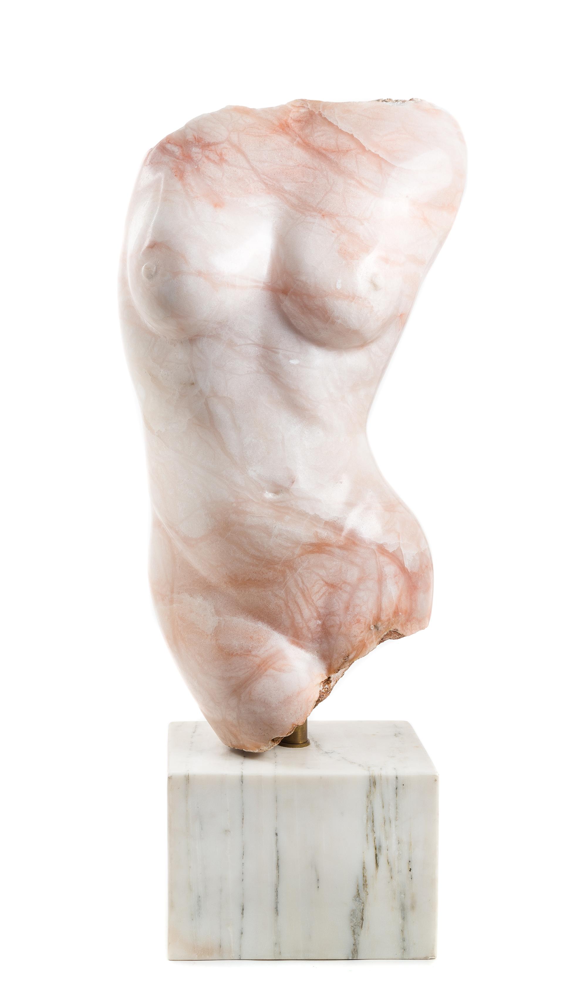 Artist Unknown, (20th Century), Female Torso