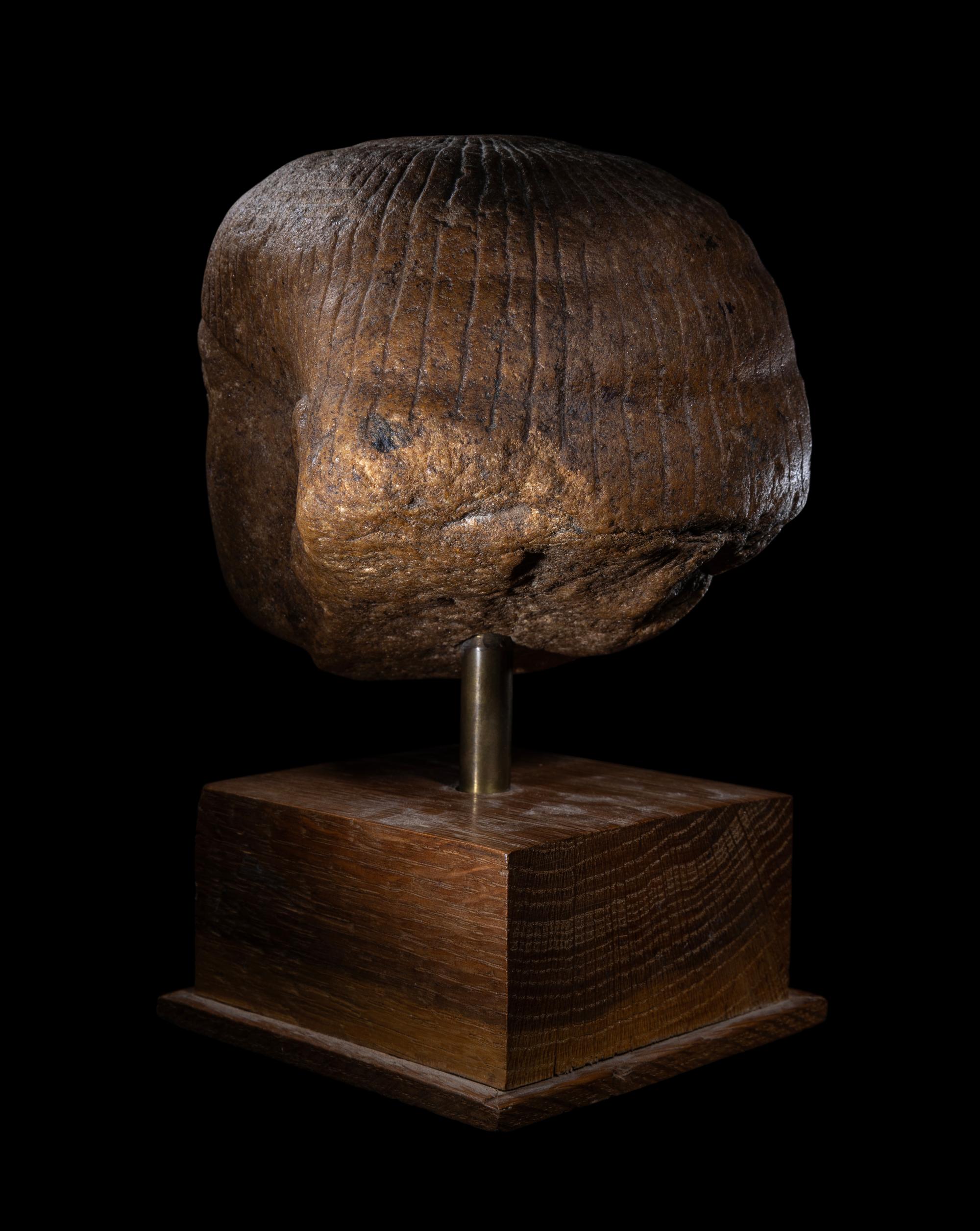 An Egyptian Quartzite Head of an Official