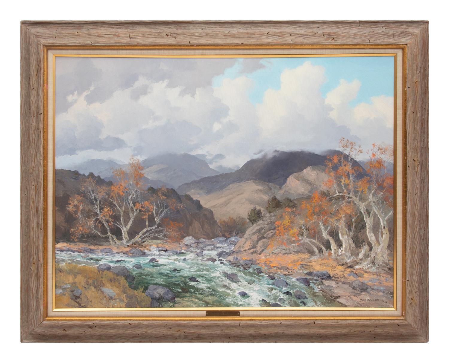 Sycamore Creek Near Sunflower
