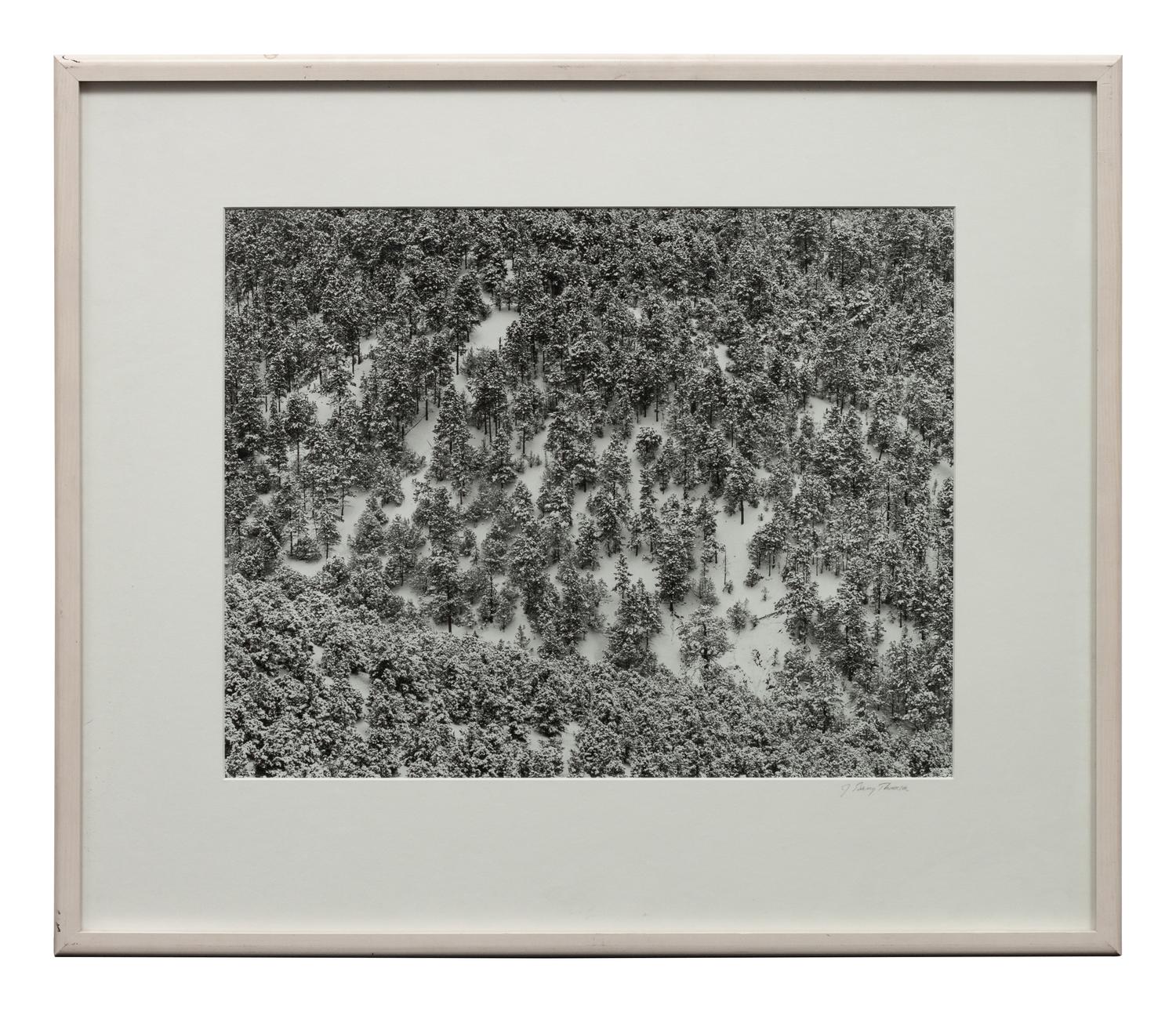 A group of four photographs ( Moqui Marbles, Arizona; Sumacs in Snow, North Conway, New Hampshire; Desert Trumpet in Snow, Utah; Untitled - Snow Covered Trees on Hillside )