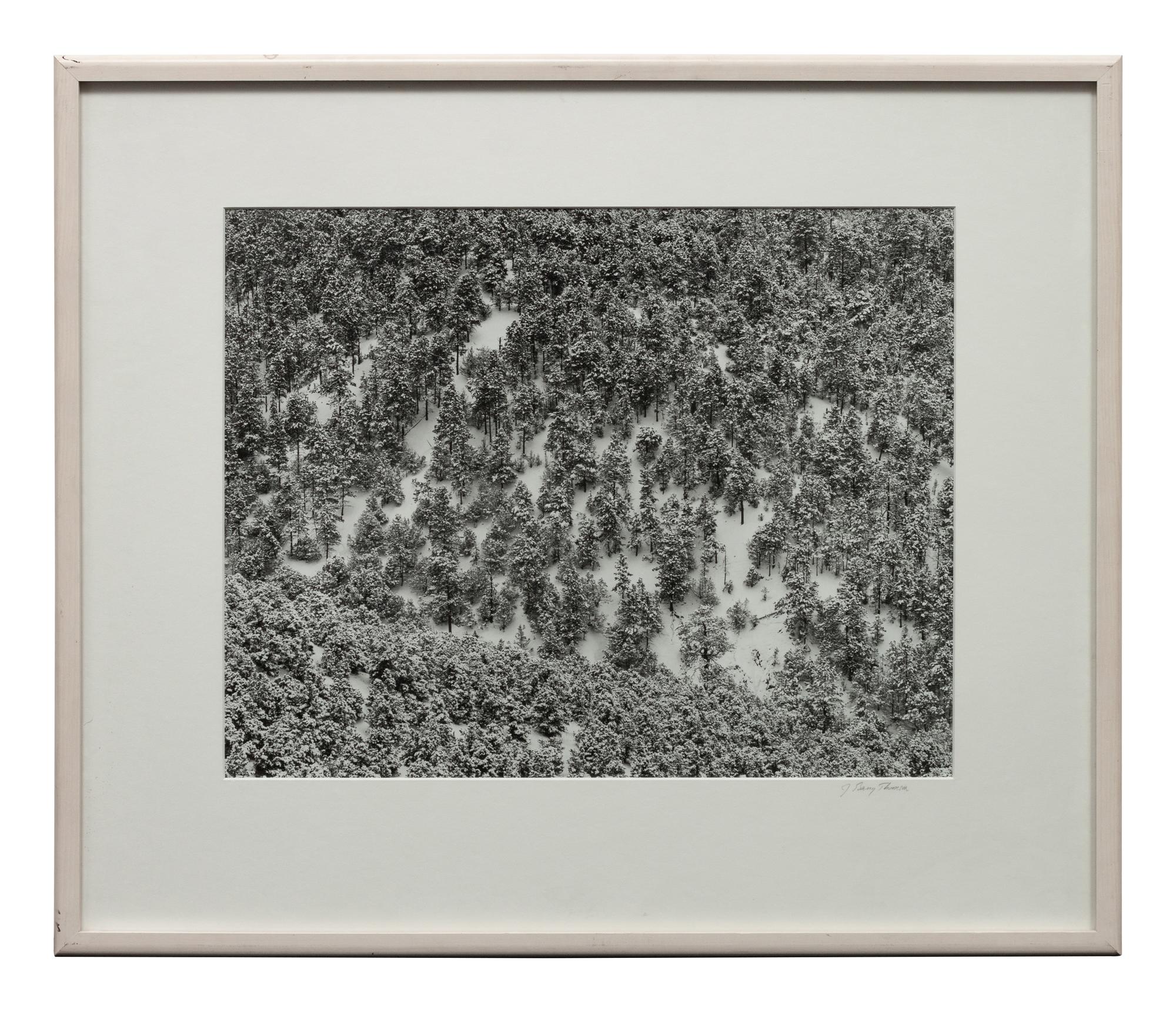 A group of four photographs ( Moqui Marbles, Arizona; Sumacs in Snow, North Conway, New Hampshire; Desert Trumpet in Snow, Utah; Untitled - Snow Covered Trees on Hillside )