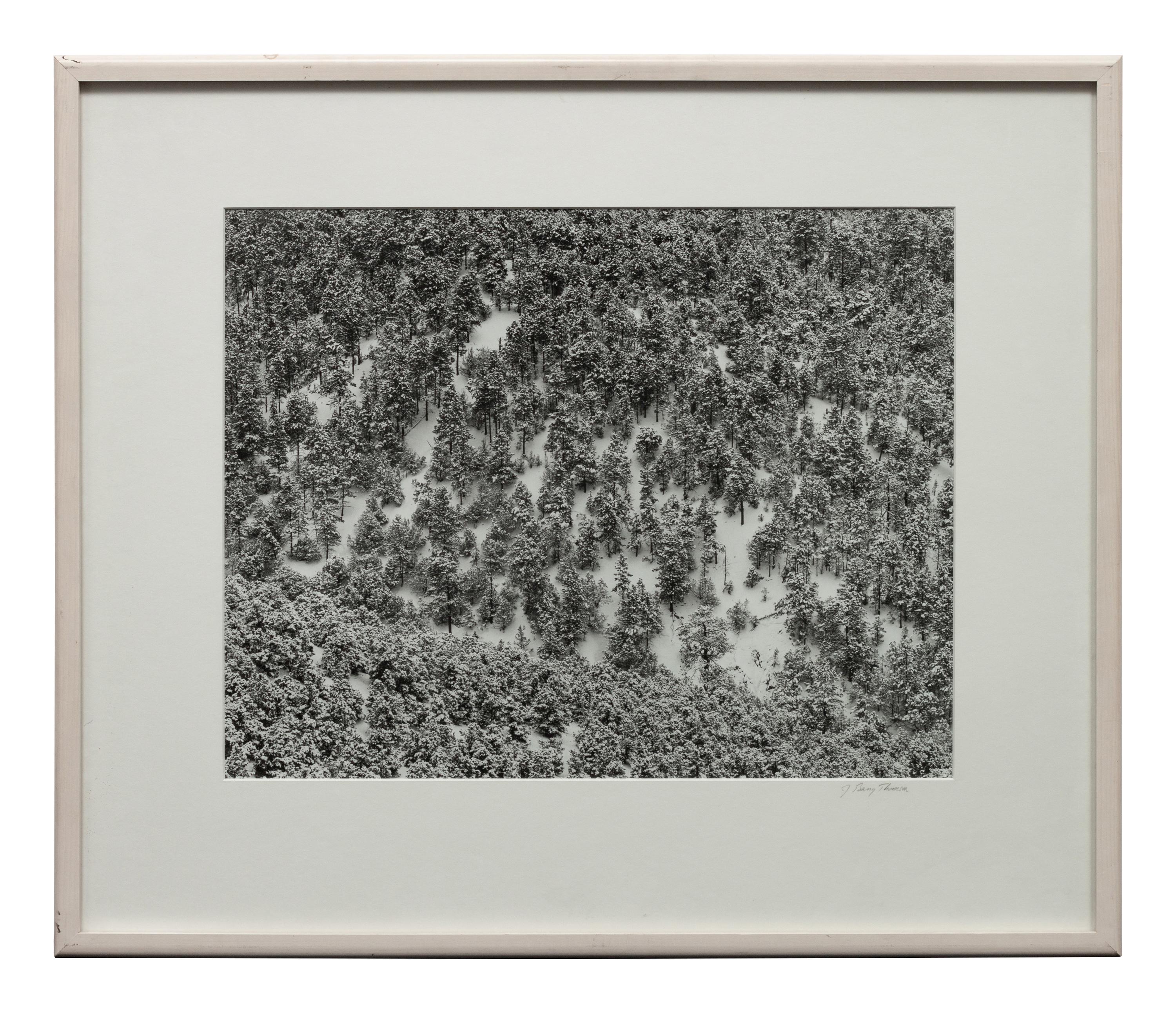 A group of four photographs ( Moqui Marbles, Arizona; Sumacs in Snow, North Conway, New Hampshire; Desert Trumpet in Snow, Utah; Untitled - Snow Covered Trees on Hillside )