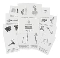 GOREY, Edward (1925-2000). Dogear Wryde Postcards. Q. R. V. Hikuptah . -- Q . R. V. Unwmkd. Imperf. N.p.: n.p., 1996.