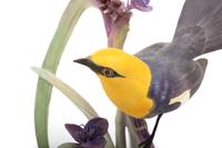 A Pair of Royal Worcester Dorothy Doughty Yellow Headed Blackbirds and Spiderwort Groups
