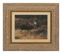 Brush Bull , 1992
