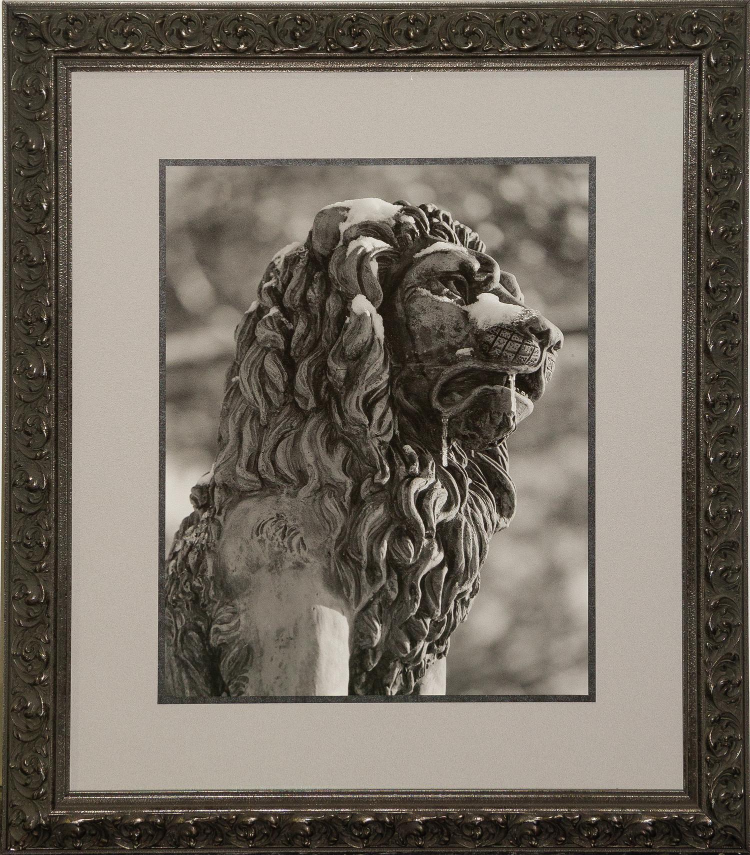 Theodore Cohen, (Israeli/American, 20th century), Stone Lion