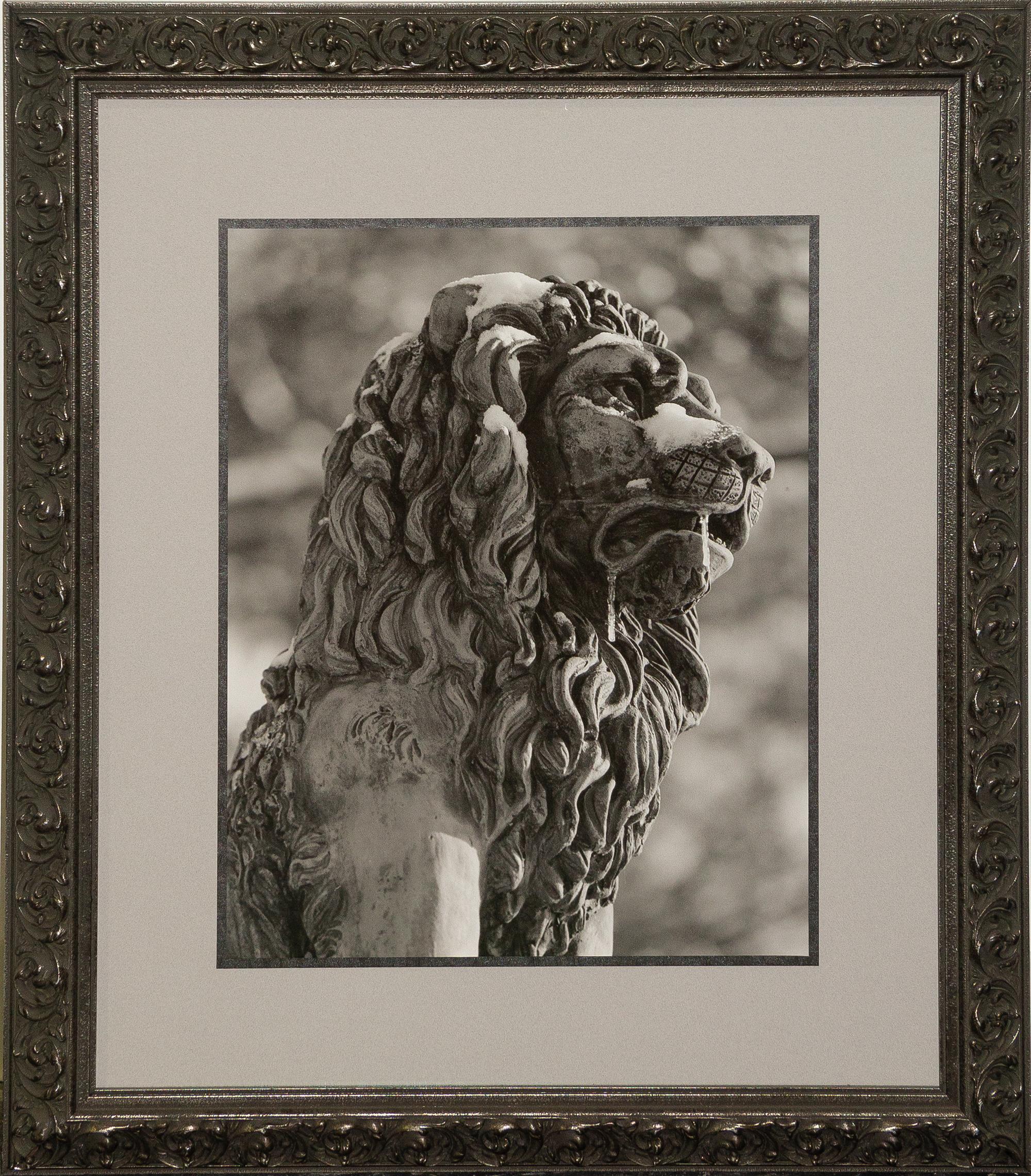 Theodore Cohen, (Israeli/American, 20th century), Stone Lion