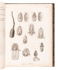 CUVIER, Georges L. C., Baron (1769-1832). A sammelband of 16 articles originally appearing in the Annales du Museum d'Histoire Naturelle . Paris, ca 1802-1815. Comprising: